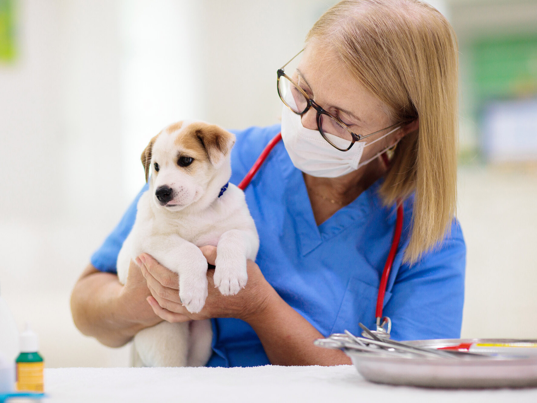 Tieräztin mit Hundewelpem