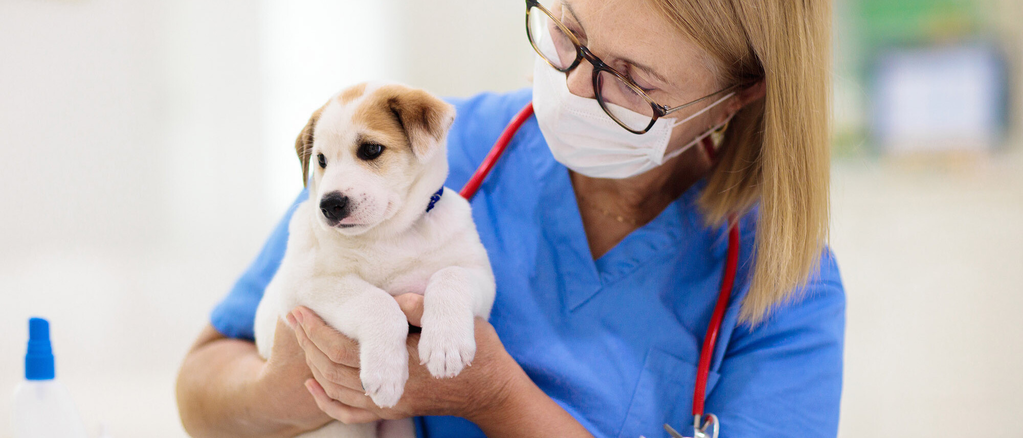 Tieräztin mit Hundewelpem